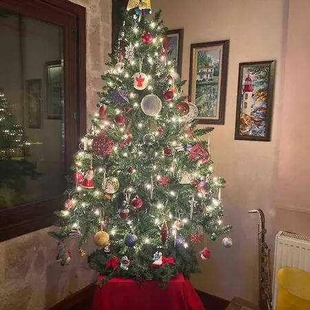 3 Oda Cunda Butik Otel Ayvalı